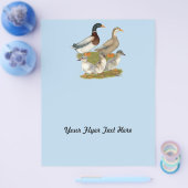 ザクセン・ダックファミリー チラシ (シングル)