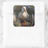 ザクセン・ダック・ステッカー スクエアシール (バッグ)