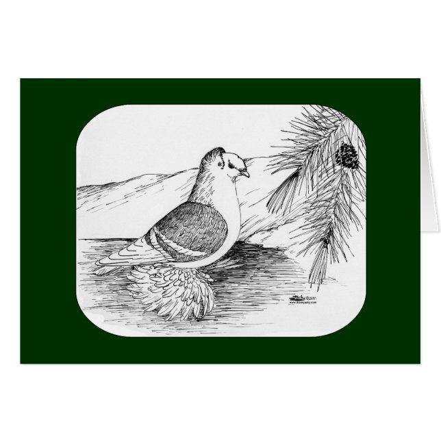 ザクソンシールドピジョン1973 (正面横)