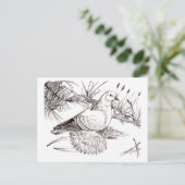 ザクソン野鳥 ポストカード (スタンド正面)