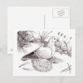 ザクソン野鳥 ポストカード (正面/裏面)