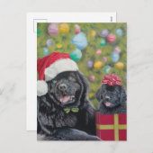 ザクリスマスサプライズホリデーカード シーズンポストカード (正面/裏面)