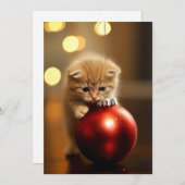 ザクリスマス子猫 シーズンカード (正面/裏面)