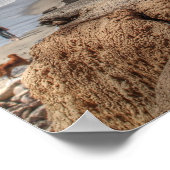 ザクリフス"ビーチ ポスター (角)