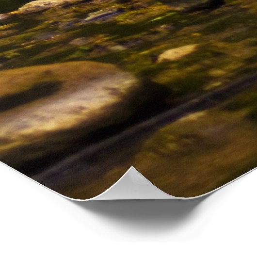 ザクリーク ポスター (角)