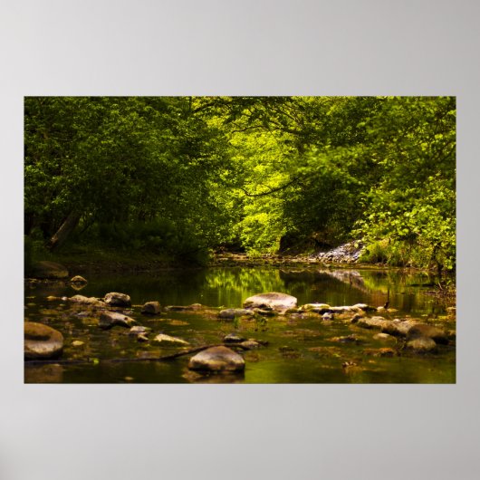 ザクリーク ポスター (正面)