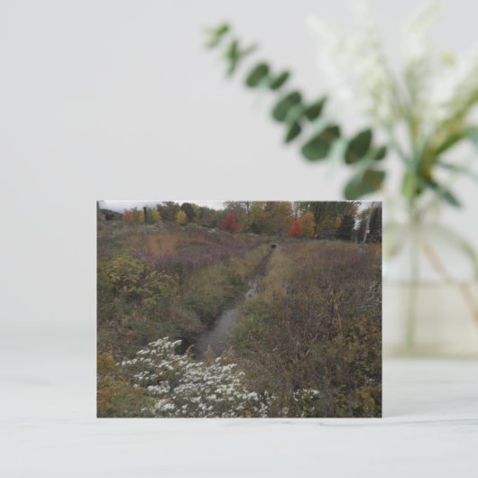 ザクリーク ポストカード (スタンド正面)