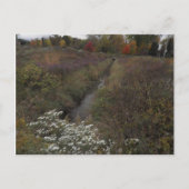 ザクリーク ポストカード (正面)