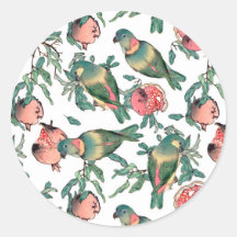 ザクロとロブバード