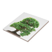 ザクロの盆栽の木 タイル (側面)