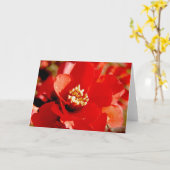 ザクロの花 カード (黄色い花)