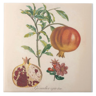 ザクロの装飾的なセラミックタイルの台所アクセント タイル