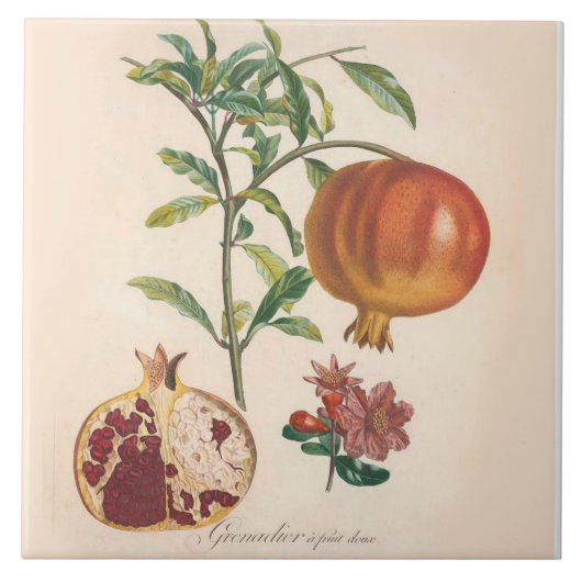 ザクロの装飾的なセラミックタイルの台所アクセント タイル (正面)