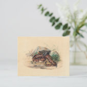 ザクロトバイジョセフウルフ ポストカード (スタンド正面)