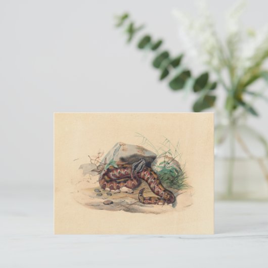 ザクロトバイジョセフウルフ ポストカード (スタンド正面)