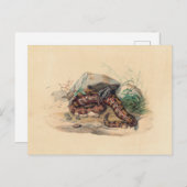 ザクロトバイジョセフウルフ ポストカード (正面/裏面)