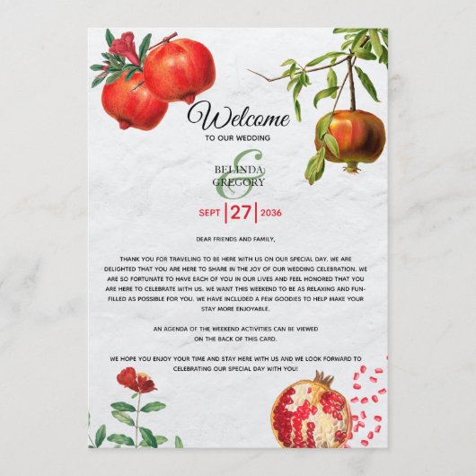 ザクロ地中海のン結婚酸塩の旅程 プログラム (正面)