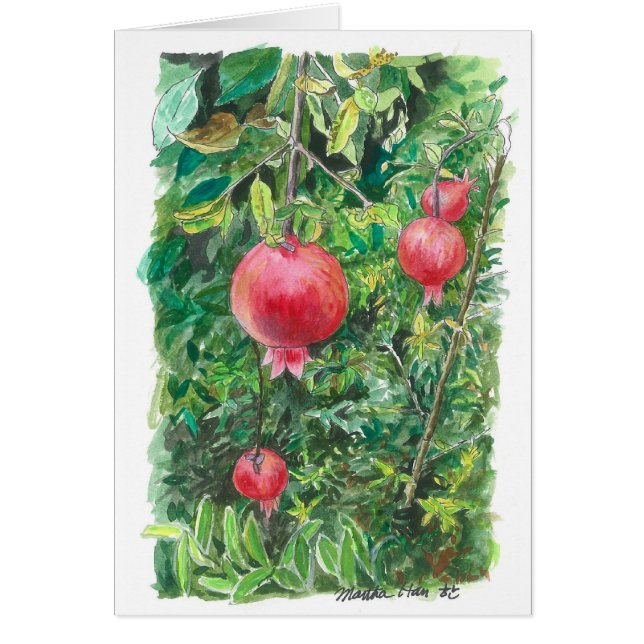 ザクロ木 (正面)