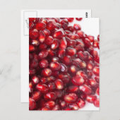 ザクロ種子 ポストカード (正面/裏面)