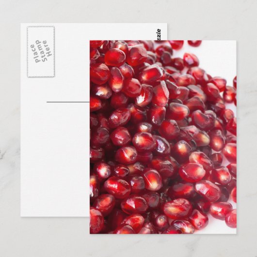 ザクロ種子 ポストカード (正面/裏面)