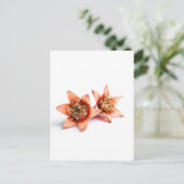 ザクロ花 ポストカード (スタンド正面)