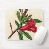 ザクロ花 – ヴィンテージイラストレーション詳細 マウスパッド (マウス)