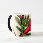 ザクロ花 – ヴィンテージイラストレーション詳細 モーフィングマグカップ (正面左)