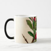 ザクロ花 – ヴィンテージイラストレーション詳細 モーフィングマグカップ (左)