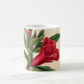 ザクロ花 – ヴィンテージイラストレーション詳細 モーフィングマグカップ (中央)