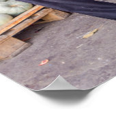 ザクロ販売用 ポスター (角)