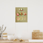 ザクロ1 ポスター (キッチン)