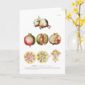 ザクロ カード (黄色い花)