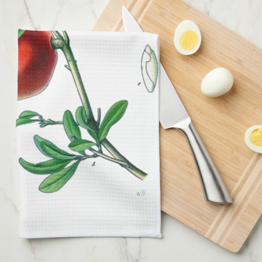 ザクロ キッチンタオル (四つ折り)