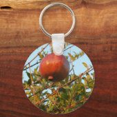 ザクロ キーホルダー (正面)