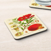 ザクロ コースター (左側)