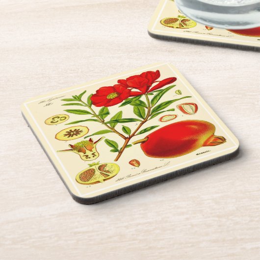 ザクロ コースター (左側)