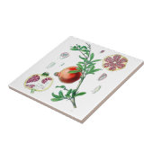 ザクロ タイル (側面)