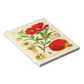 ザクロ ノートパッド (アングル)