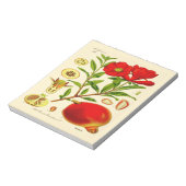 ザクロ ノートパッド (回転)