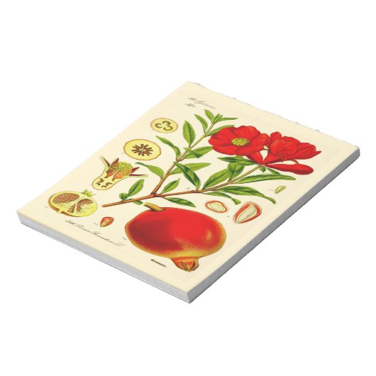 ザクロ ノートパッド (回転)