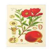 ザクロ ノートパッド (正面)