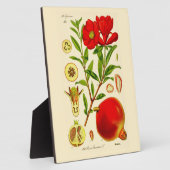 ザクロ フォトプラーク (側面)