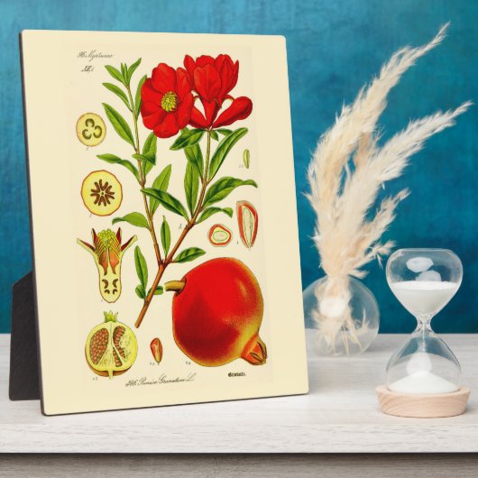 ザクロ フォトプラーク (側面)