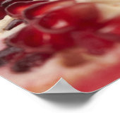 ザクロ ポスター (角)