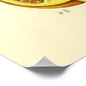 ザクロ ポスター (角)