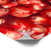 ザクロ ポスター (角)