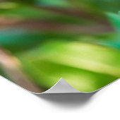 ザクロ ポスター (角)