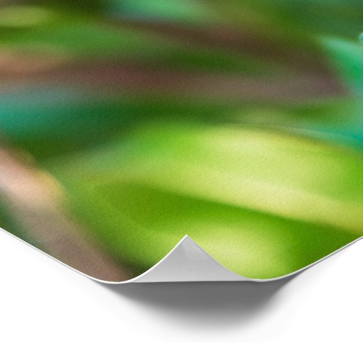 ザクロ ポスター (角)