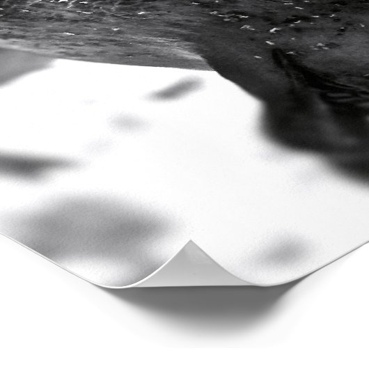 ザクロ ポスター (角)