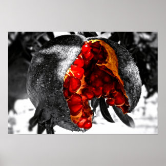 ザクロ ポスター